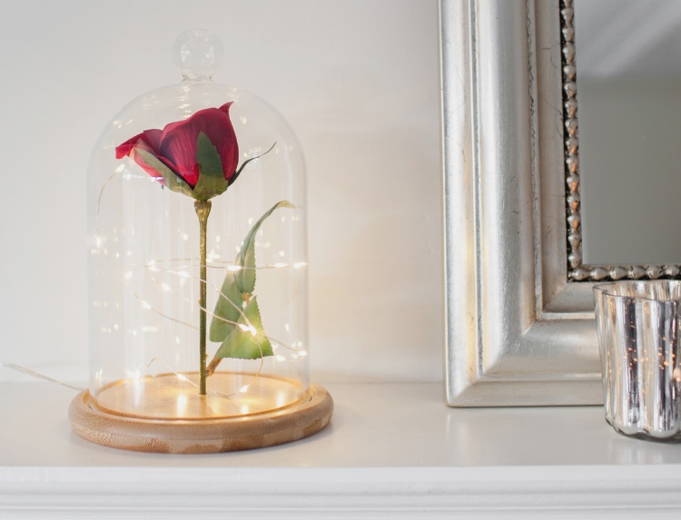 rose im glas lichterkette verzaubert konservieren