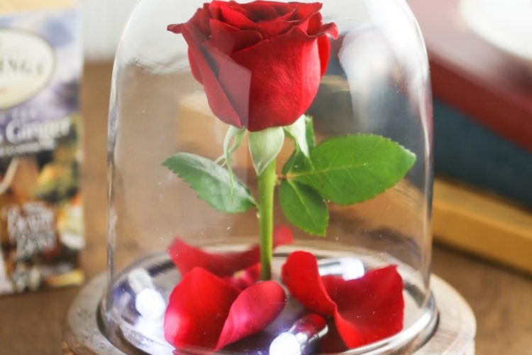 Die Schöne Und Das Biest Rose Im Glas Selber Machen Rose im Glas: ein Symbol der ewigen Liebe selber machen