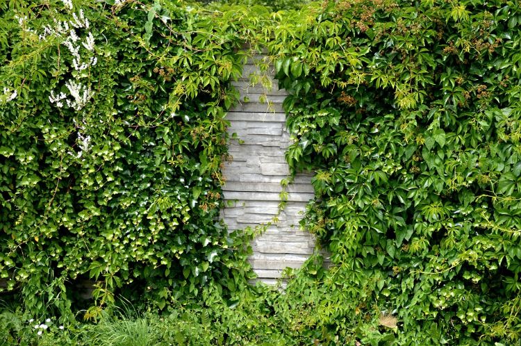 Gestalten Sie Ihren Steinmauer Garten Mithilfe Unserer Nutzlichen