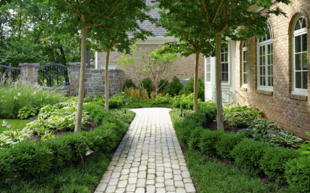 Buchsbaum Kugeln Unterbaumbepflanzung Halbschatten Gehweg