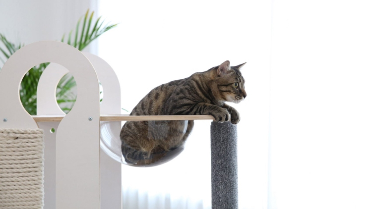 Designer Katzenbaum mit Aussichtsplattform für Hauskatzen