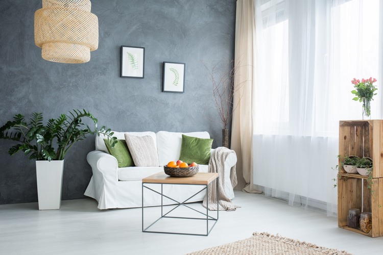 Zamioculcas große Zimmerpflanze in weißem Übertopf Wohnzimmer hell
