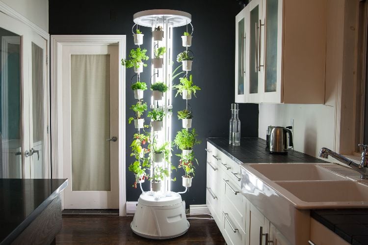 hydrokultur zimmerpflanzen ideen tipps modern bewässerung system beleuchtung neon licht küche