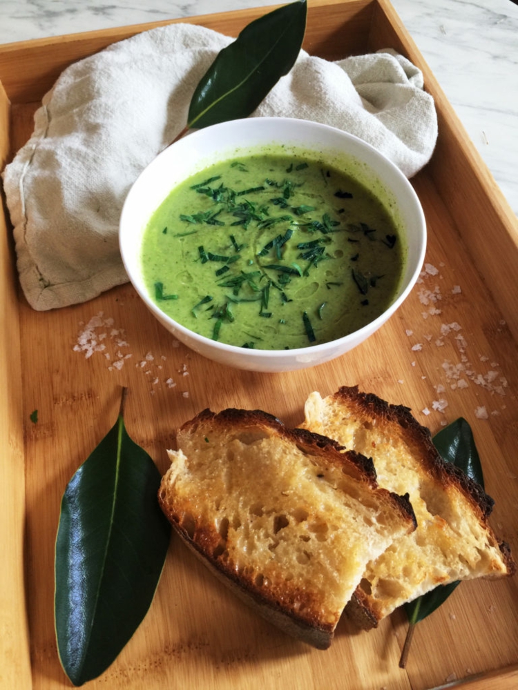 lorbeerblatt brokkoli zucchini suppe pürierte gemüsesuppe