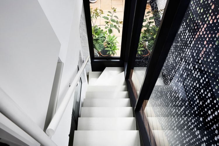 schmales haus design wiederaufbau wohnraum minimalistisch fenster treppe herunter perforierte platte pflanzen