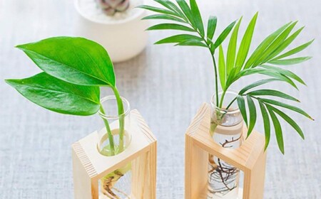 skandinavisch design pflanzenblätter holz vase hydroponik gestaltung einrichtung