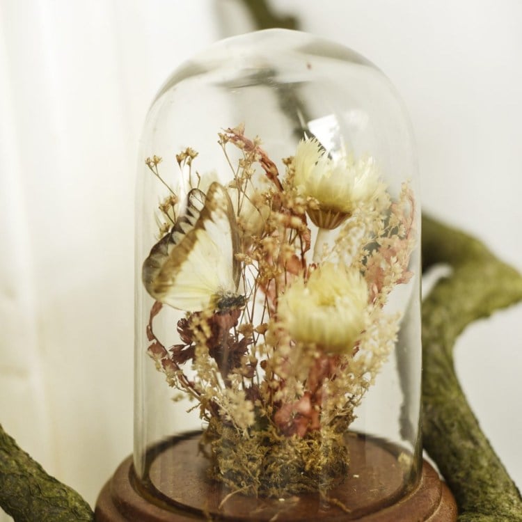 Herbst Deko unter Glashaube getrocknete Feldblumen Schmetterling Figur