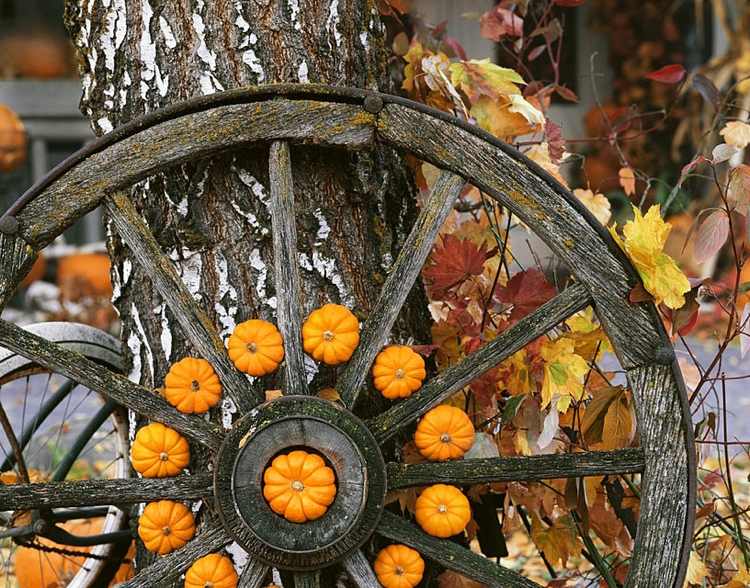 Herbstdeko rustikal im Garten altes Wagenrad Mini-Kürbisse