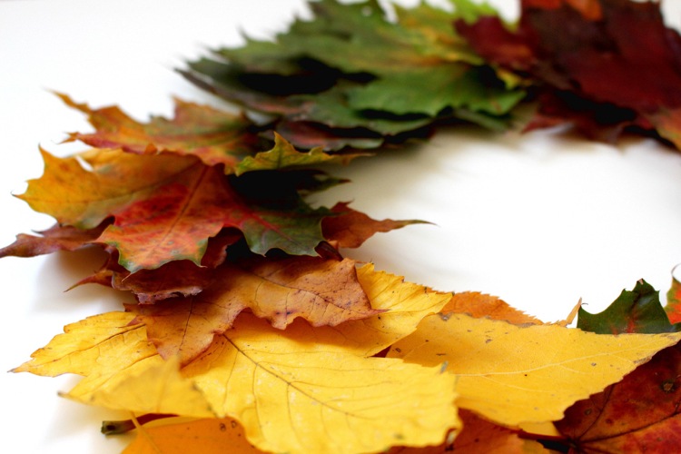 Kranz aus Herbstlaub selber machen bunter Farbverlauf Farben aus der Natur