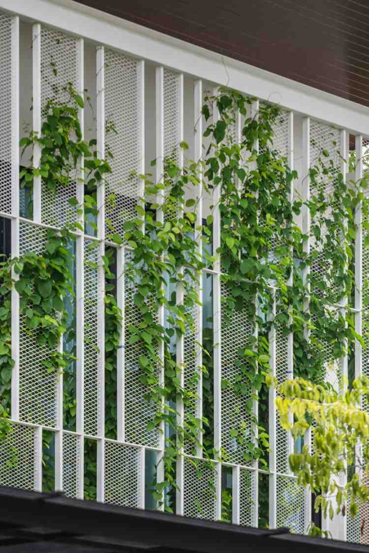 begrünte fassade designer haus moderne architektur gitter sichtschutz sonnenschutz terrasse
