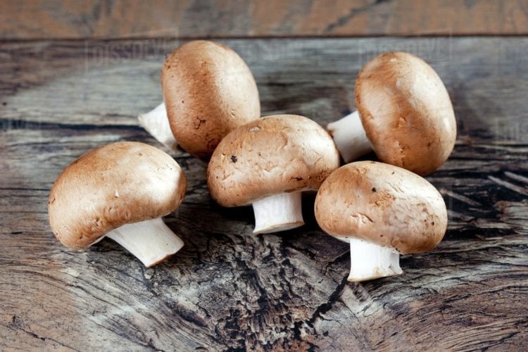 crimini champignons vitamine minerallstoffe aromatisch essbare pilze