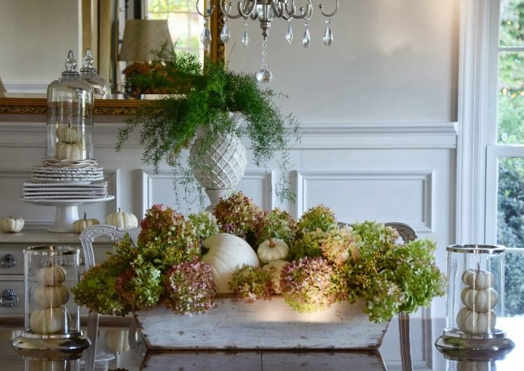 esszimmer dekoration herbst blumenkasten hortensien kürbisse