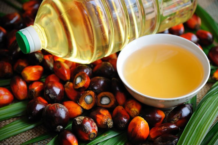 frittieren palmöl erhitzen früchte palme blatt ölpalme flasche becher schüssel öl