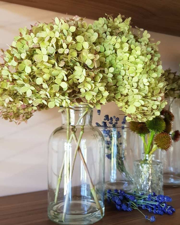 herbstdeko mit hortensien im glas glasvasen dekorieren