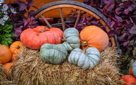 Herbstdeko mit Wagenrad für drinnen und draußen mit Stroh, Kürbissen und Blumen