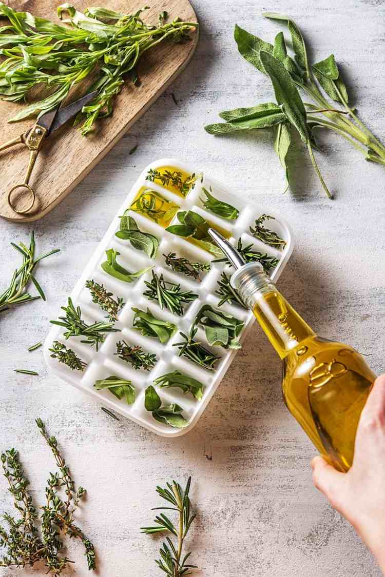 kräuter konservieren eiswürfelform olivenöl salbei rosmarin thymian