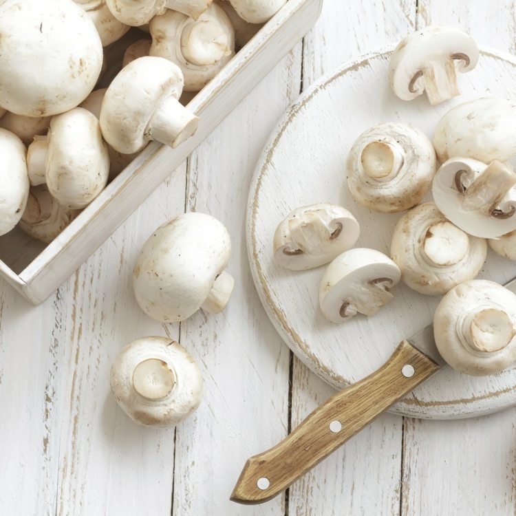 kultur champignons essbare pilze ballaststoffe eisen magnesium zink