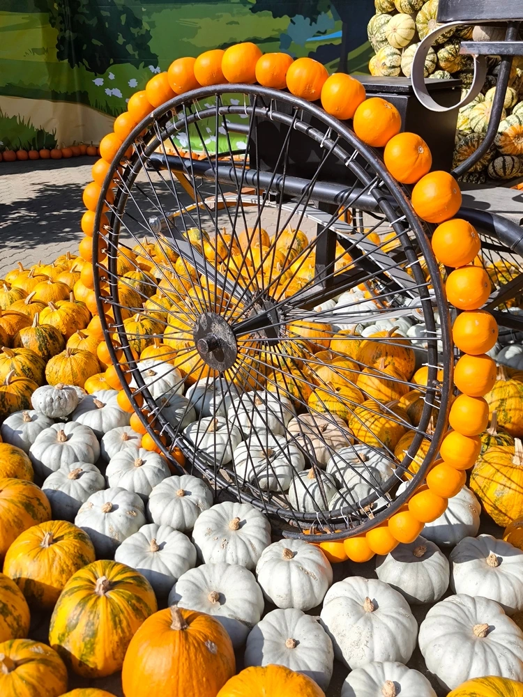 Metallrad im Garten mit Zierküssen gestalten