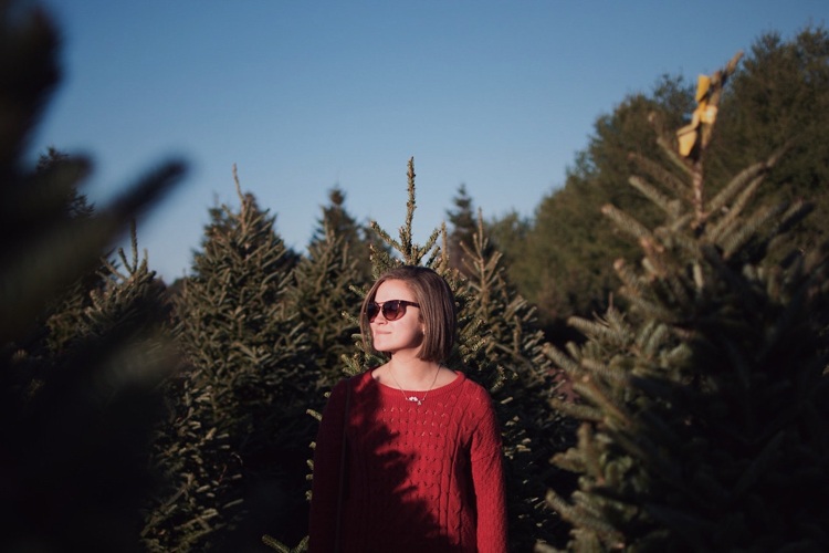 Christbaum in einer Weihnachtsbaumkultur aussuchen