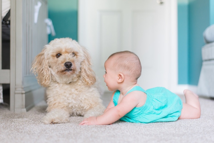Teppichboden Kinderzimmer Gesund hellgrau Baby und Hund