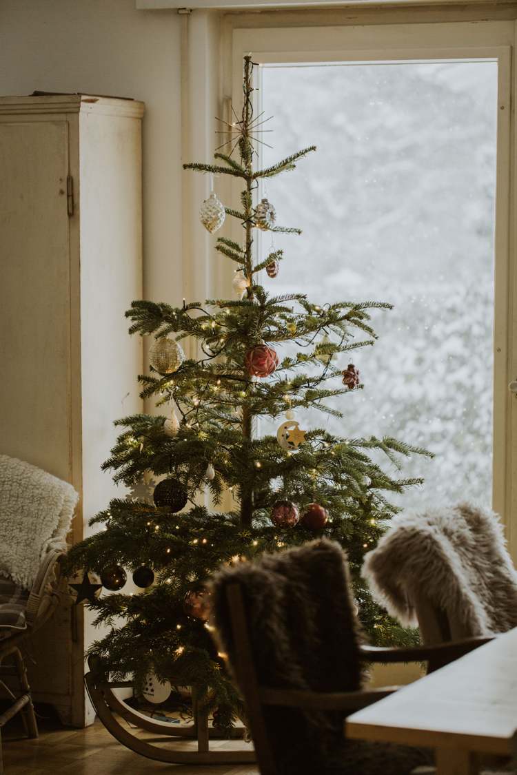 Weihnachtsbaum länger haltbar machen den perfekten Standort zu hause finden