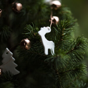 Weihnachtsbaum länger haltbar machen pflegetipps frische grüne nadeln