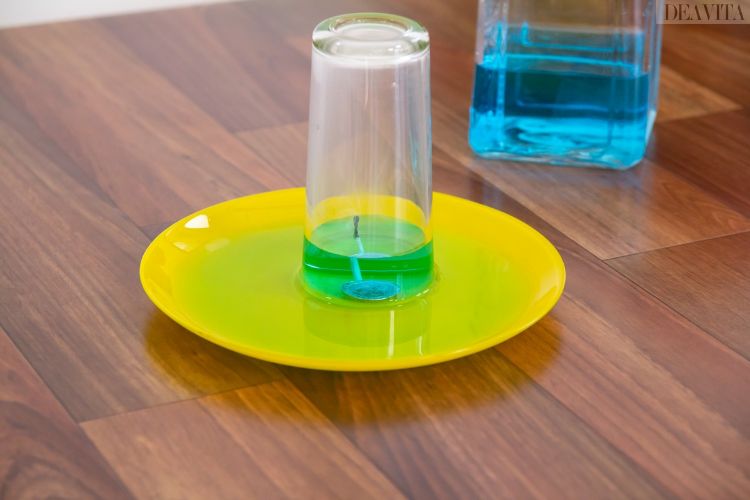 einfache experimente für kinder gefärbtes wasser steigen lassen