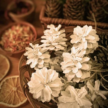 gebleichte weiße tannenzapfen als dekoration für den winter