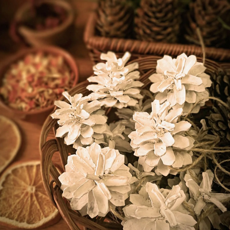 gebleichte weiße tannenzapfen als dekoration für den winter