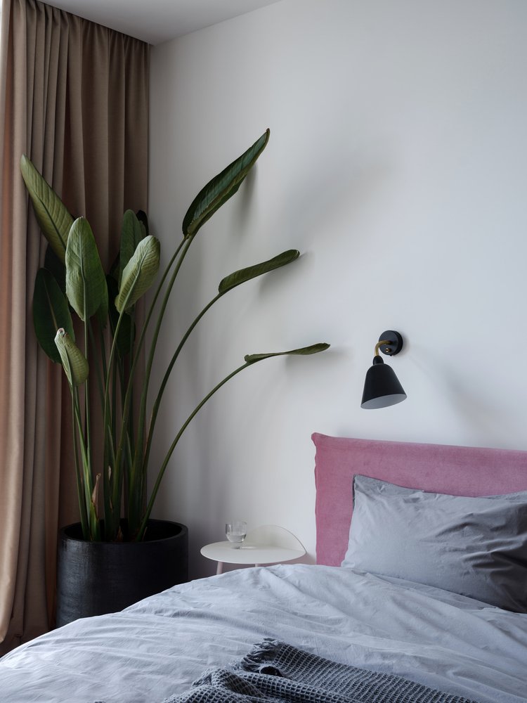 rosa Samtkopfteil graue Bettwäsche weiße Wandfarbe beige Vorhang große Zimmerpflanze
