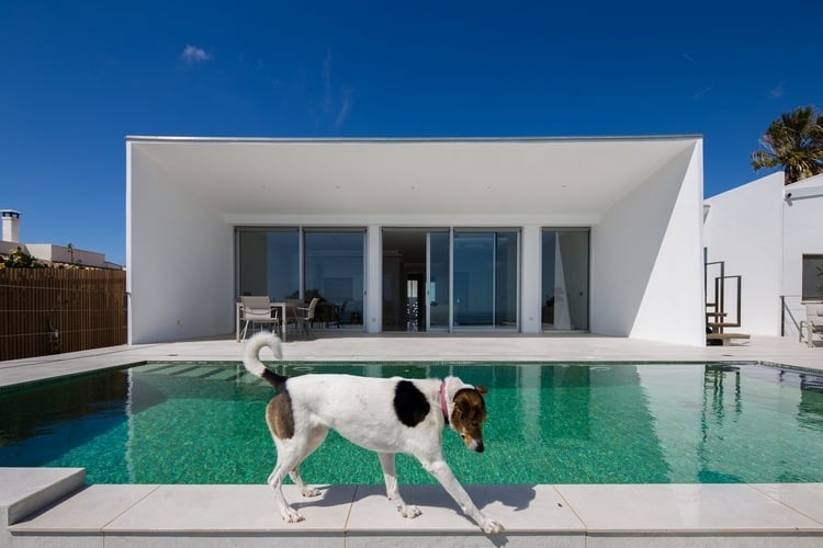 fassadenverkleidung mit faserzementplatten architektur minimalistisch design hund pool sonnenschein