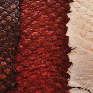 nachhaltige kleidung fischhaut arapaima modische accessoires bekleidungsstücke umweltfreudnlich material