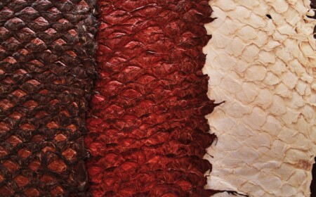 nachhaltige kleidung fischhaut arapaima modische accessoires bekleidungsstücke umweltfreudnlich material