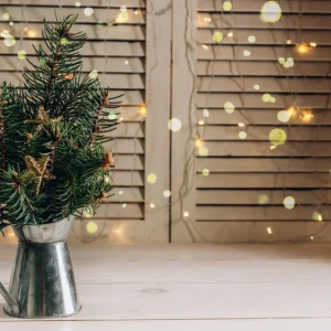 tannenzweige haltbar machen