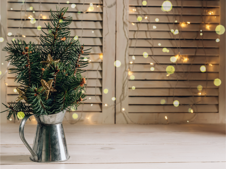 tannenzweige haltbar machen