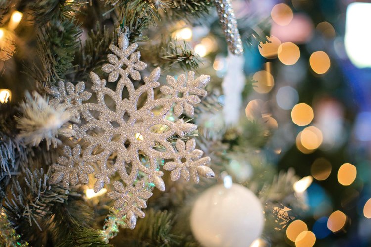vorfreude schönste freude weihnachtlich dekorieren weihnachtsstern ideen