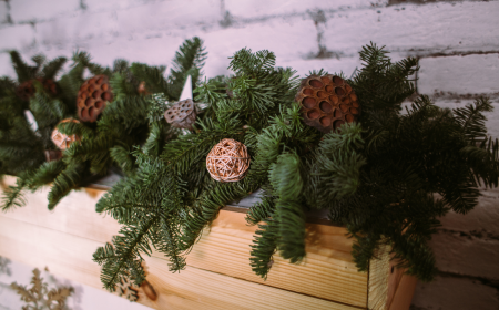 weihnachts tannenzweige