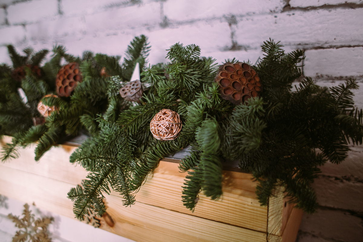weihnachts tannenzweige