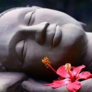 yoga nidra zum einschlafen praktische einschlafübungen besseren schlaf tiefentspannung statue buddha blume blüte rot