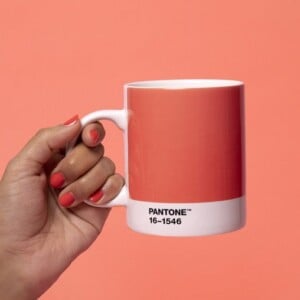 pantone farbe 2019 living coral 16-15469 trendfarbe lebensbejahend korallenrot goldener unterton