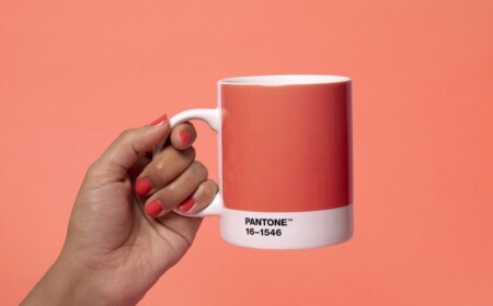 pantone farbe 2019 living coral 16-15469 trendfarbe lebensbejahend korallenrot goldener unterton