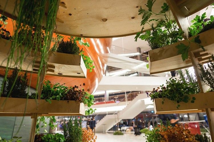 urbane landwirtschaft futuristischer garten stadt innovatives designprojekt konzept hyrdrokultur pflanzen holz pflanzer treppen
