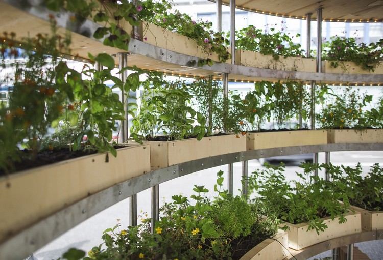urbane landwirtschaft futuristischer garten stadt innovatives designprojekt konzept hyrdrokultur pflanzen holz pflanzer
