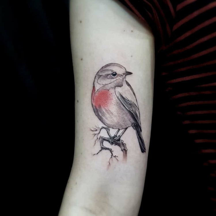 Vogel Tattoo Fur Frauen Und Manner 50 Ideen Vorlagen Bedeutung