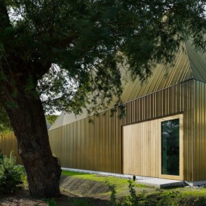 ganze hausverkleidung mit kupfer bauen und holz eingangstür schräges dach mit garten und baum