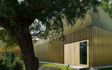 ganze hausverkleidung mit kupfer bauen und holz eingangstür schräges dach mit garten und baum