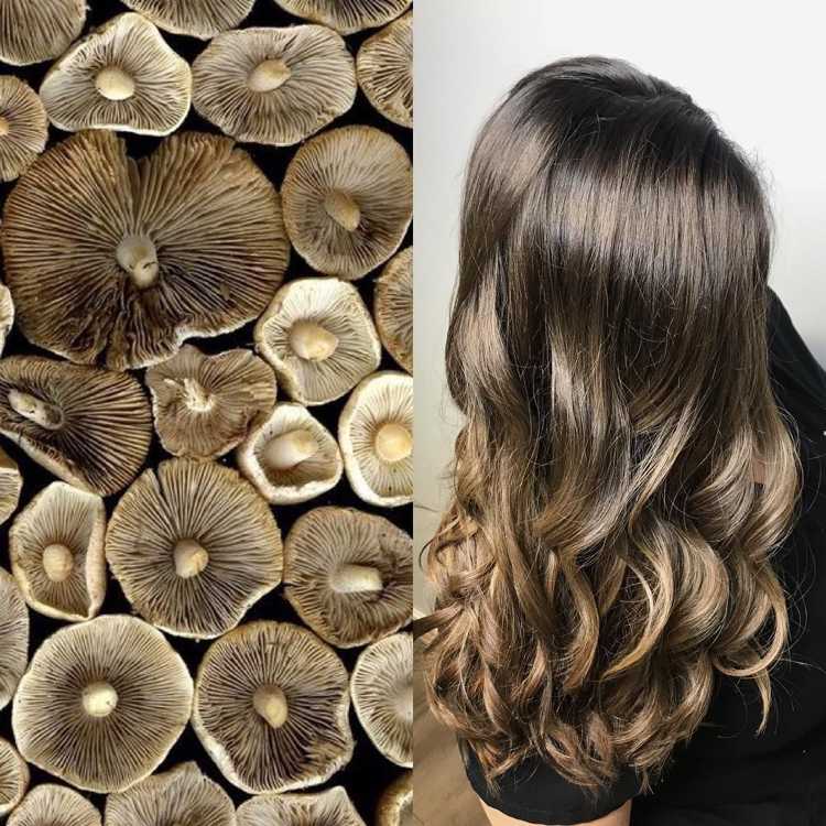 haarfarben trends 2019 damen Mushroom Braune Haare