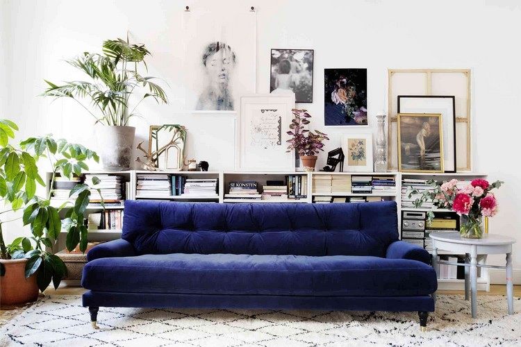 polstermöbel couch aus samt in kombination mit pflanzen und bücherregalen