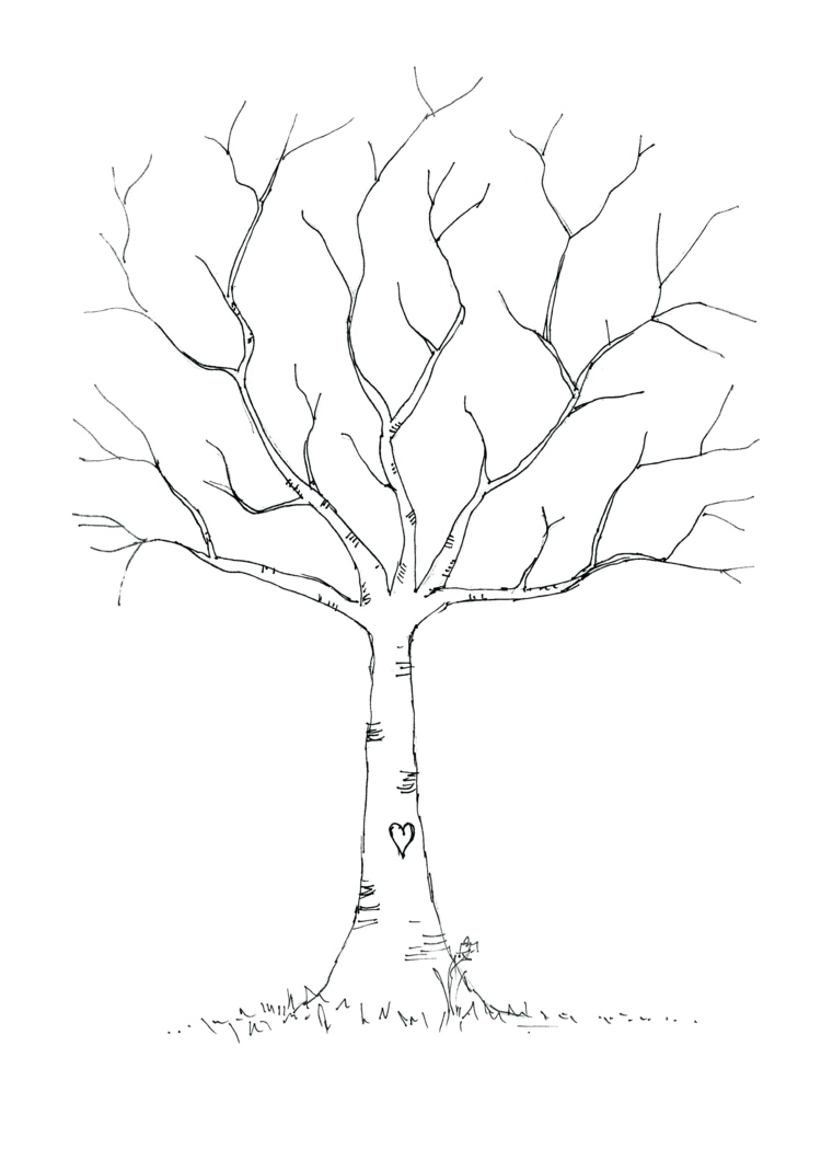 Ein kahler Baum als Vorlage zum individuellen Gestalten der Krone mit Kreidemarker