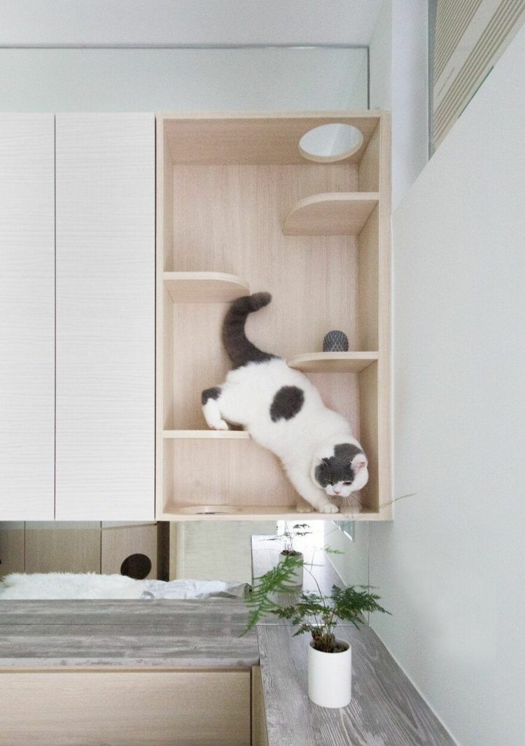 Multifunktionale Möbel zum Klettern für die Katze